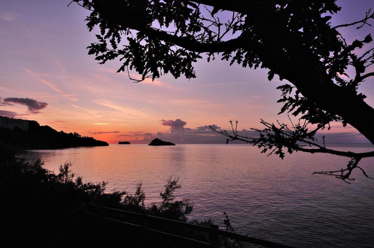 English Riviera Sunrise Villa Torquay Exteriör bild